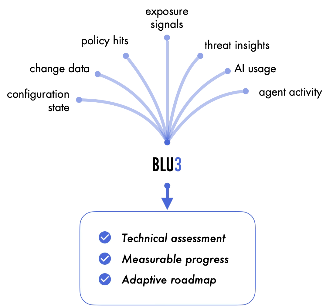 BLU3 process flow